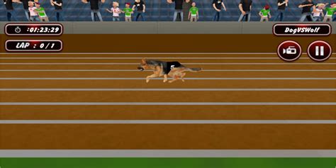 dog bet racing in y8